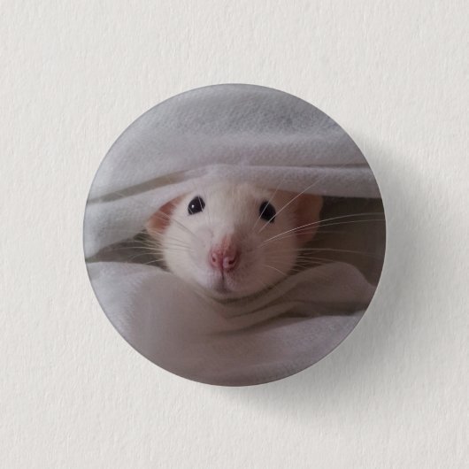Abzeichen "Weiße Ratte" Button (Vorderseite)