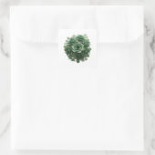Abziehbare grüne GREEN ROSES Sticker Druck (Tasche)