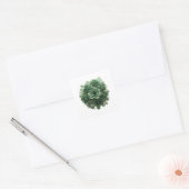 Abziehbare grüne GREEN ROSES Sticker Druck (Umschlag)