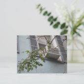 "AC-BLÄTTER" POSTKARTE (KOLLEKTIERBAR) (Stehend Vorderseite)