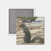 AC-Funny Eichhörnchen auf der Suche nach Nuts Magn Magnet (Vorderseite/Rückseite)