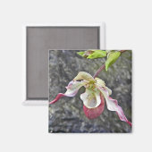 AC- Lady Slipper Orchid Magnet (Vorderseite/Rückseite)