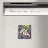 AC- Lady Slipper Orchid Magnet (In Situ (Geschirrspüler))