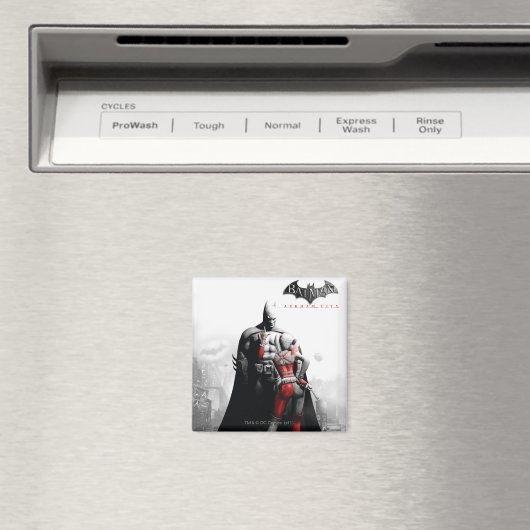 AC Poster - Batman & Harley Magnet (In Situ (Geschirrspüler))