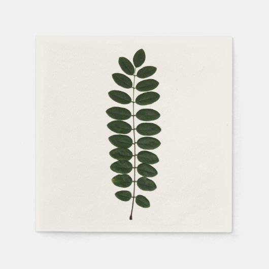 Acacia Leaf Napkin Serviette (Vorderseite)