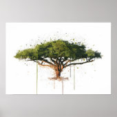 Acacia Poster (Vorne)