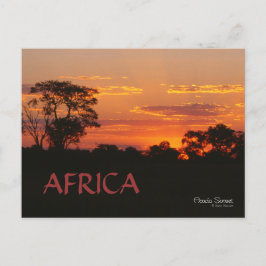 Acacia Sunset Africa Postcard Postkarte