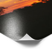 Acacia Sunset Fotodruck (Ecke)