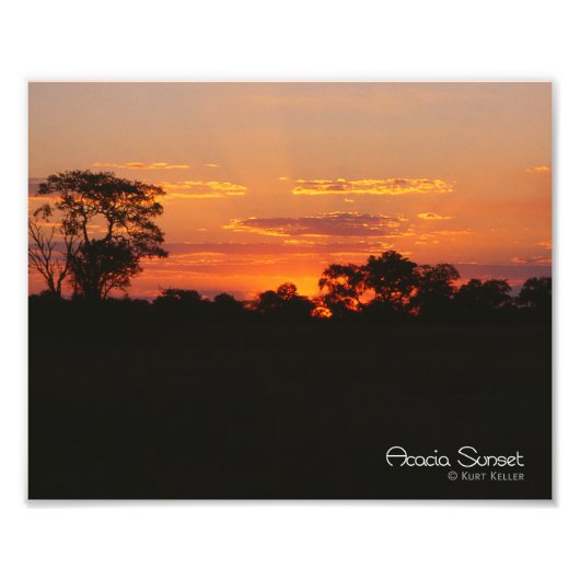 Acacia Sunset Fotodruck (Vorne)