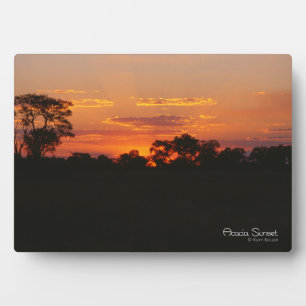 Acacia Sunset Fotoplatte