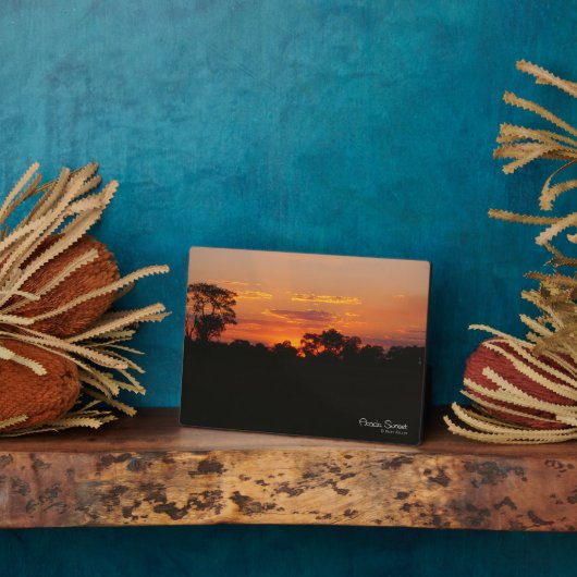 Acacia Sunset Fotoplatte (Seite)