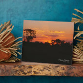 Acacia Sunset Fotoplatte (Seite)