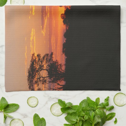 Acacia Sunset Küchentuch (Gefaltet)