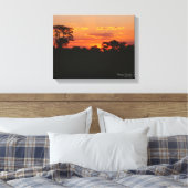 Acacia Sunset Leinwanddruck (Insitu (Schlafzimmer))