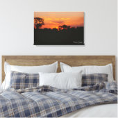 Acacia Sunset Leinwanddruck (Insitu (Schlafzimmer))