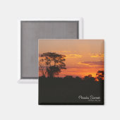 Acacia Sunset Magnet (Vorderseite/Rückseite)