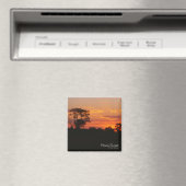 Acacia Sunset Magnet (In Situ (Geschirrspüler))