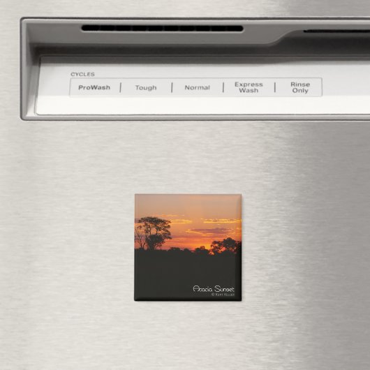Acacia Sunset Magnet (In Situ (Geschirrspüler))