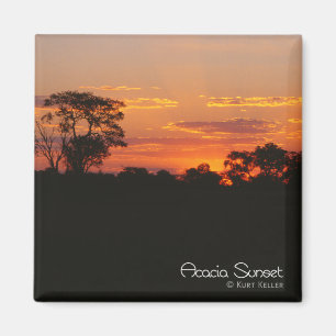 Acacia Sunset Magnet