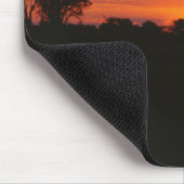 Acacia Sunset Mousepad (Ecke)