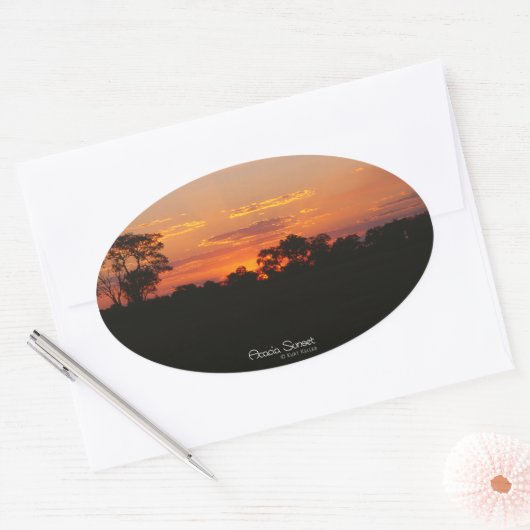 Acacia Sunset Oval Stickers (Umschlag)