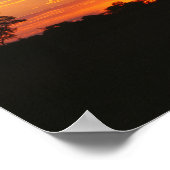 Acacia Sunset Poster (Ecke)