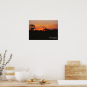 Acacia Sunset Poster (Küche)