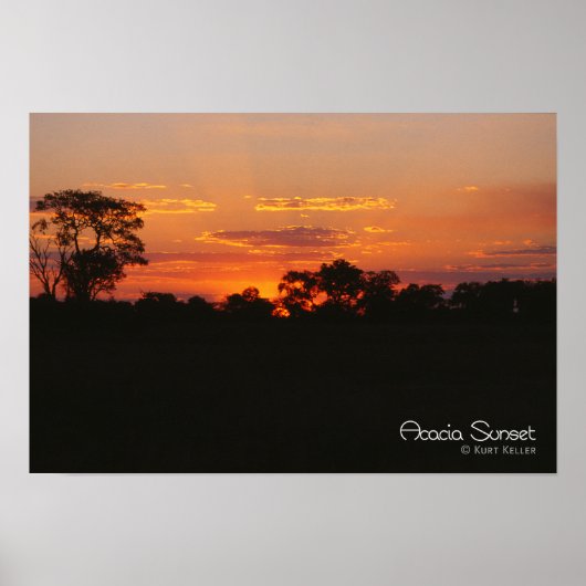 Acacia Sunset Poster (Vorne)