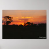 Acacia Sunset Print Poster (Vorne)