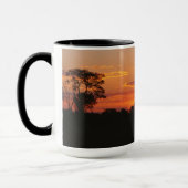 Acacia Sunset Tasse (Links)