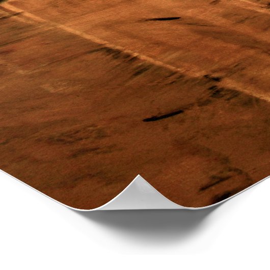 Acacia Tree 16 x 20 von Ben Walker Poster (Ecke)