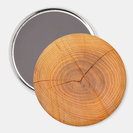 Acacia Tree Cross Abschnitt Große runde Magnet (Vorderseite/Rückseite)