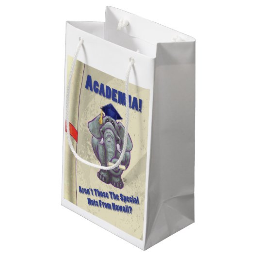 Academia Scroll Kleine Geschenktüte (Rückseite Schrägansicht)