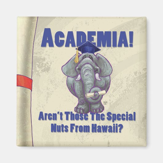Academia Scroll Magnet (Vorne)