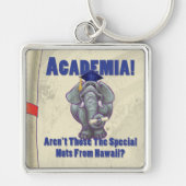 Academia Scroll Schlüsselanhänger (Vorne)