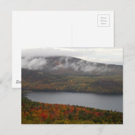 Acadia Fall Trees Postkarte (Vorne/Hinten)