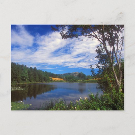 Acadia Long Pond View Postkarte (Vorderseite)