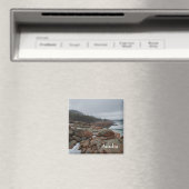Acadia Magnet - 1 (In Situ (Geschirrspüler))