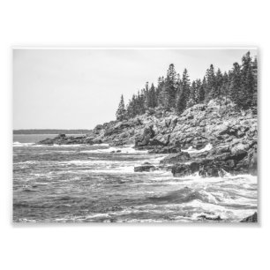 Acadia Maine Felsenküste Schwarz und Weiß Fotodruck