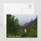 Acadia, Maine Postkarte (Vorne/Hinten)