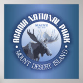 Acadia National Park (Elche) Poster (Vorne)