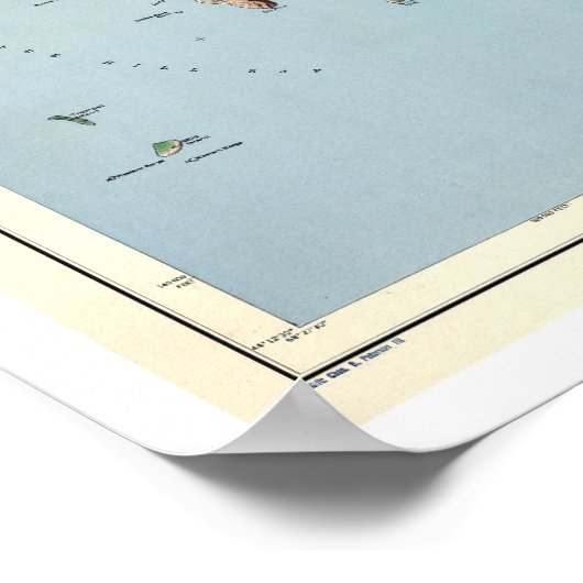 Acadia National Park Karte 1960 Poster (Ecke)