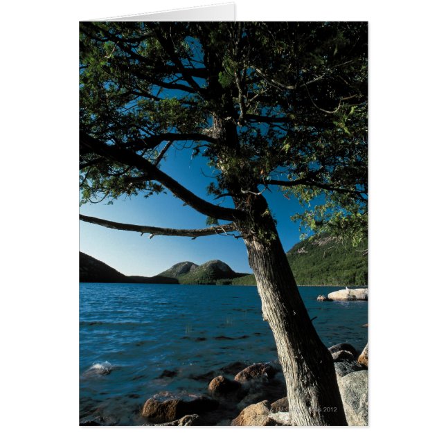Acadia National Park , London Pond , Maine (Vorne)