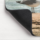 Acadia National Park Maine Coast Seagull Mousepad (Ecke)