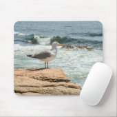 Acadia National Park Maine Coast Seagull Mousepad (Mit Mouse)