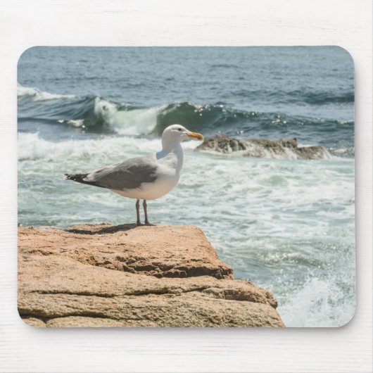 Acadia National Park Maine Coast Seagull Mousepad (Vorne)