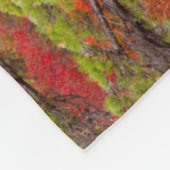 Acadia National Park, Maine Fleecedecke (Ecke)