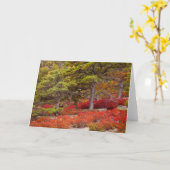 Acadia National Park, Maine Karte (Gelbe Blume)