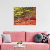 Acadia National Park, Maine Leinwanddruck (Insitu (Wohnzimmer))