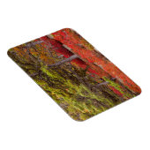 Acadia National Park, Maine Magnet (Rechte Seite)